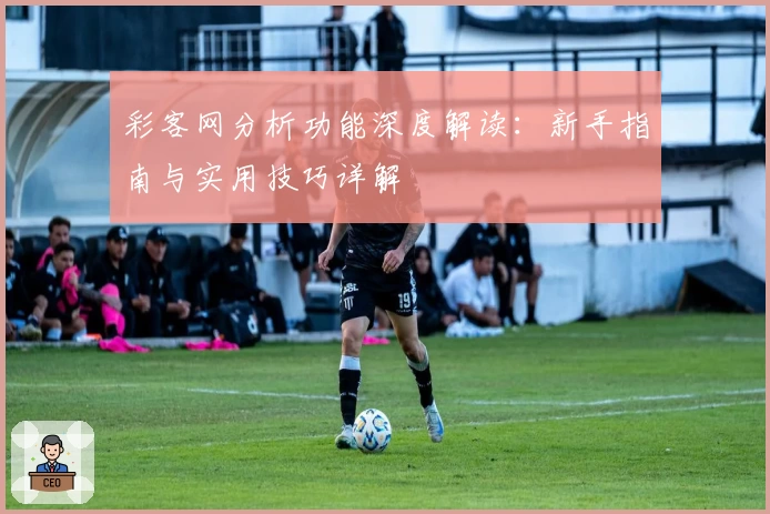 彩客网分析功能深度解读：新手指南与实用技巧详解