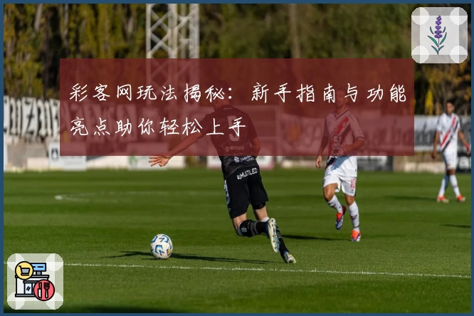 彩客网玩法揭秘：新手指南与功能亮点助你轻松上手