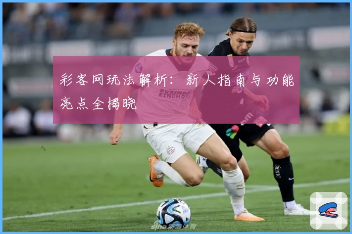 彩客网玩法解析：新人指南与功能亮点全揭晓