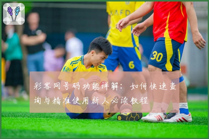 彩客网号码功能详解：如何快速查询与精准使用新人必读教程