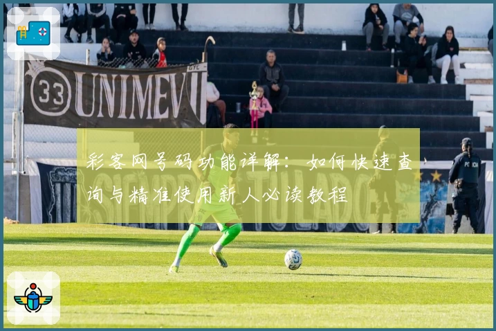 彩客网号码功能详解：如何快速查询与精准使用新人必读教程