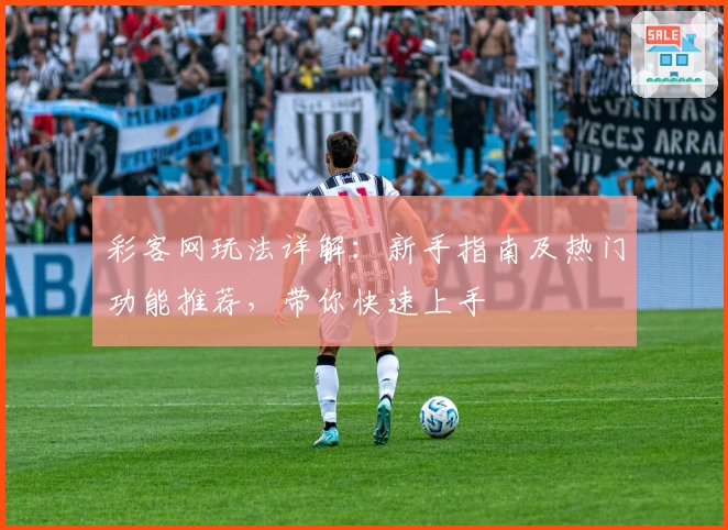 彩客网玩法详解：新手指南及热门功能推荐，带你快速上手