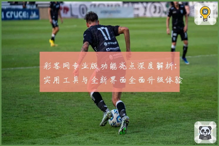 彩客网专业版功能亮点深度解析：实用工具与全新界面全面升级体验