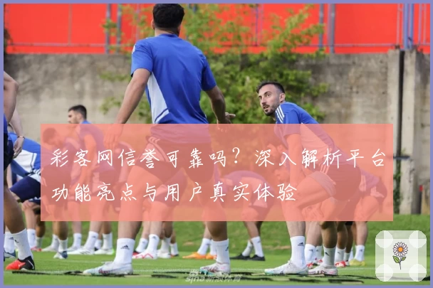 彩客网信誉可靠吗？深入解析平台功能亮点与用户真实体验