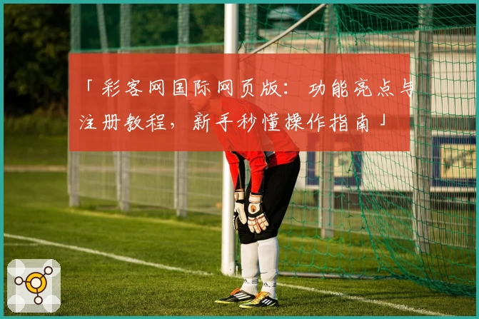 「彩客网国际网页版：功能亮点与注册教程，新手秒懂操作指南」